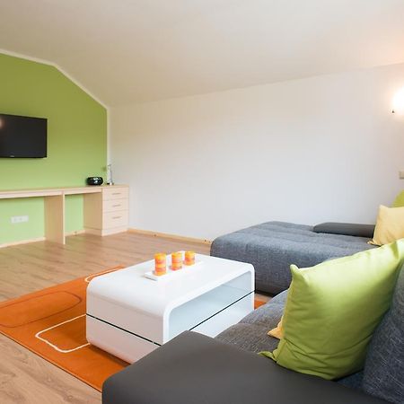 Apartment Oesterreich ラムサウ・アム・ダッハシュタイン エクステリア 写真