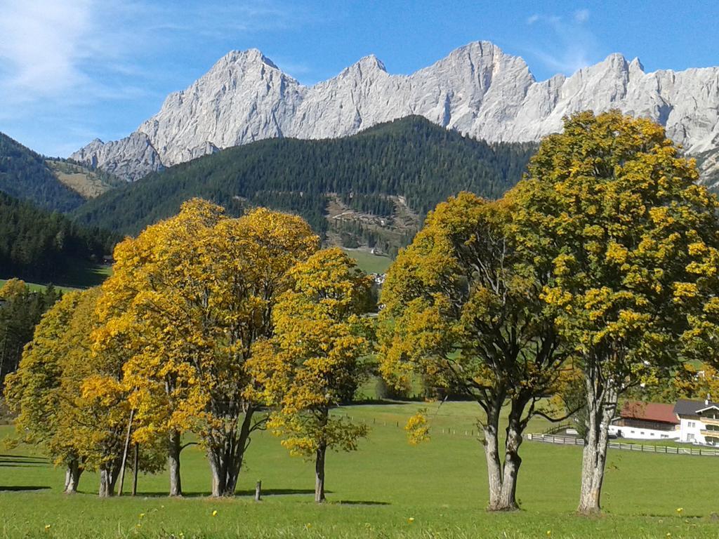 Apartment Oesterreich ラムサウ・アム・ダッハシュタイン 部屋 写真