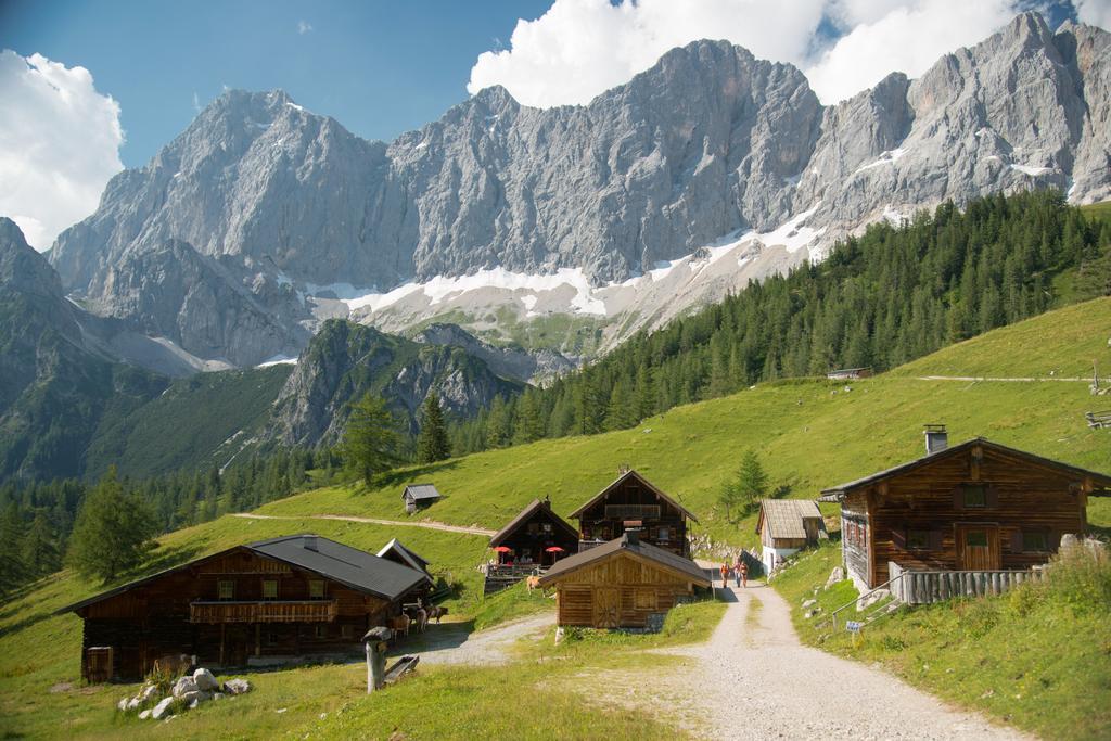 Apartment Oesterreich ラムサウ・アム・ダッハシュタイン 部屋 写真